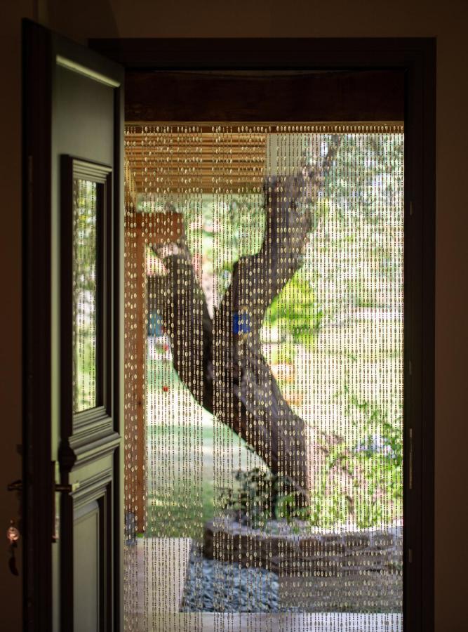 Villa Menie - Golden Fig Sykia Lodge Paralia Sikias Εξωτερικό φωτογραφία