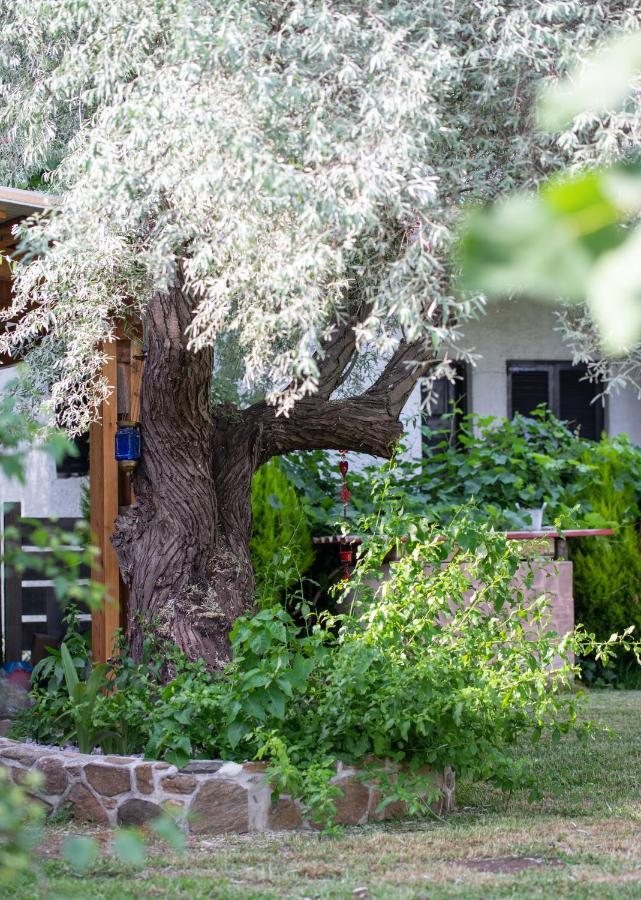 Villa Menie - Golden Fig Sykia Lodge Paralia Sikias Εξωτερικό φωτογραφία