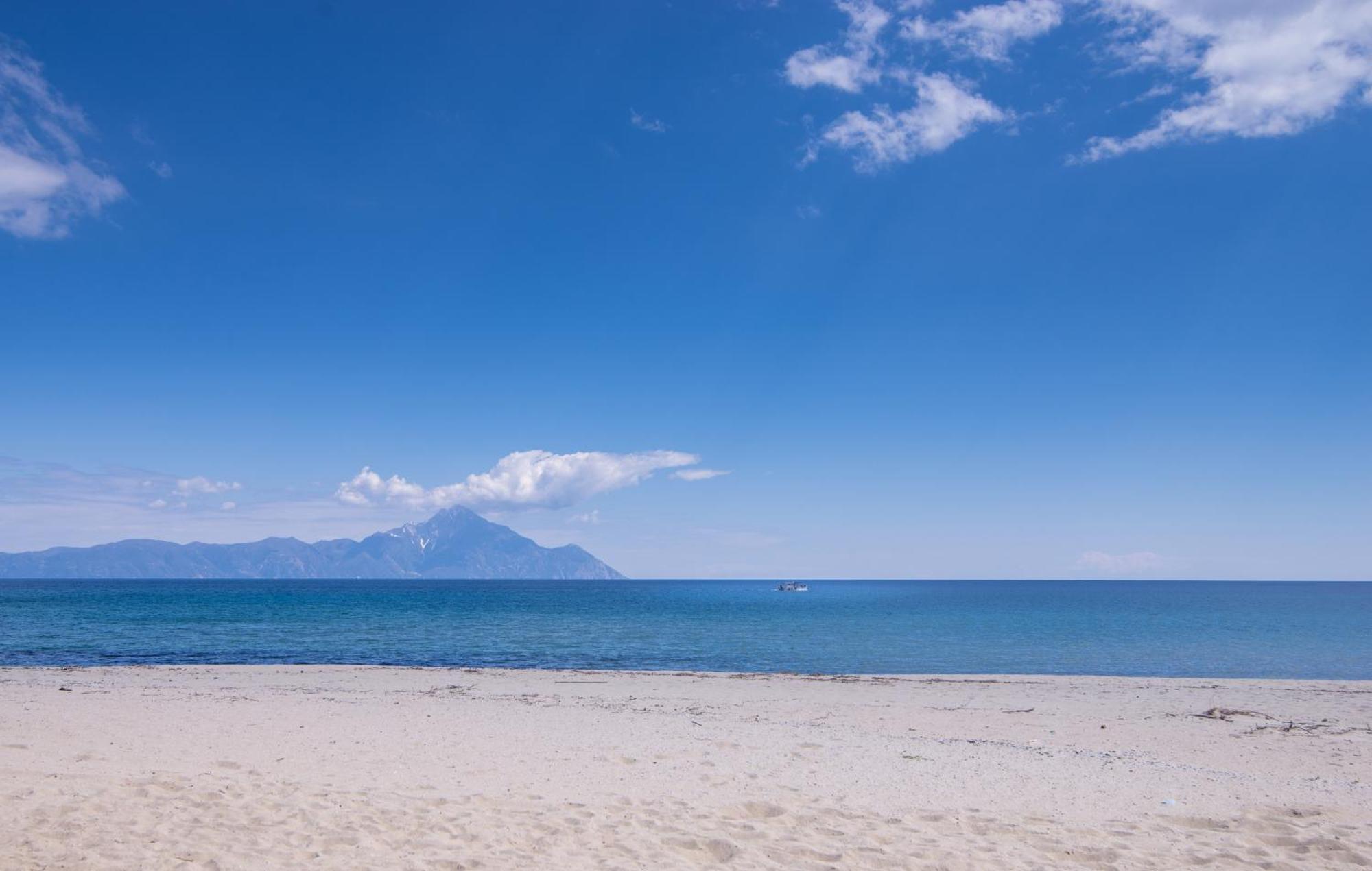 Villa Menie - Golden Fig Sykia Lodge Paralia Sikias Εξωτερικό φωτογραφία