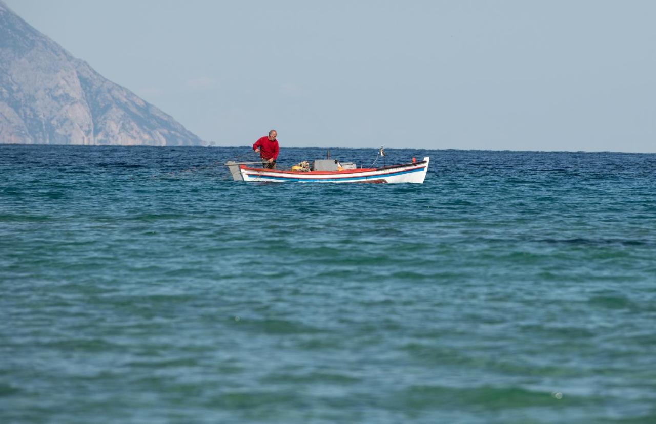 Villa Menie - Golden Fig Sykia Lodge Paralia Sikias Εξωτερικό φωτογραφία