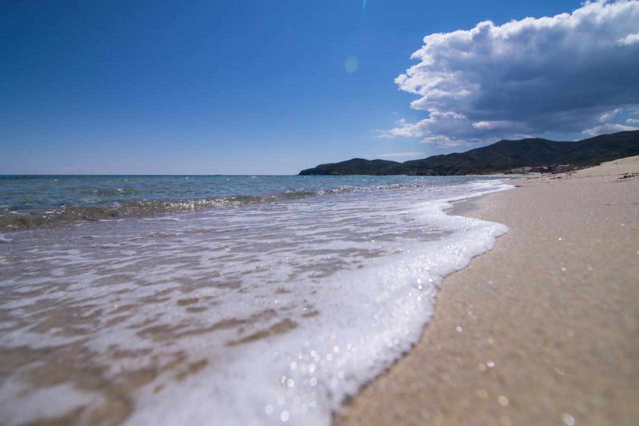 Villa Menie - Golden Fig Sykia Lodge Paralia Sikias Εξωτερικό φωτογραφία